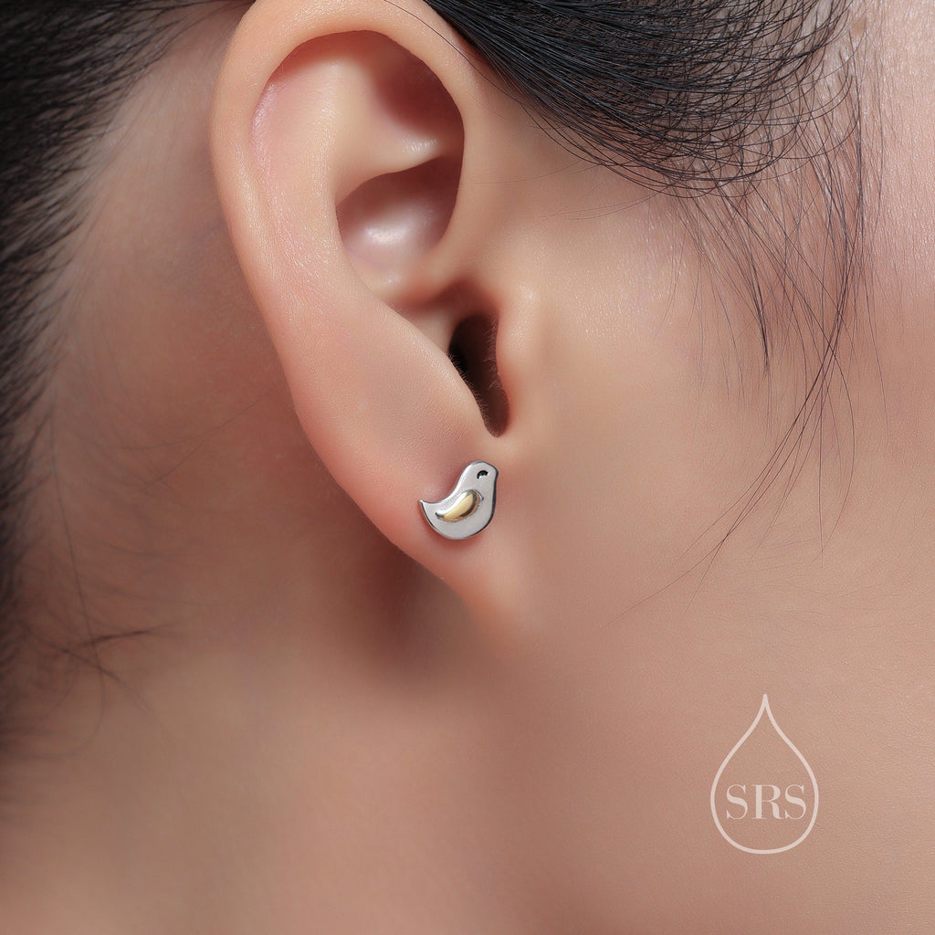 Cute Little Wren Bird Stud Earrings and Necklace Set in Sterling Silver, Gift Set with One Gift Box Packing